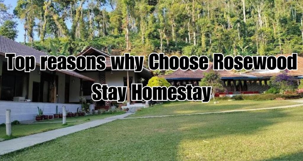 Top reasons why Rosewood Stay Homestay is your perfect choice for an unforgettable trip