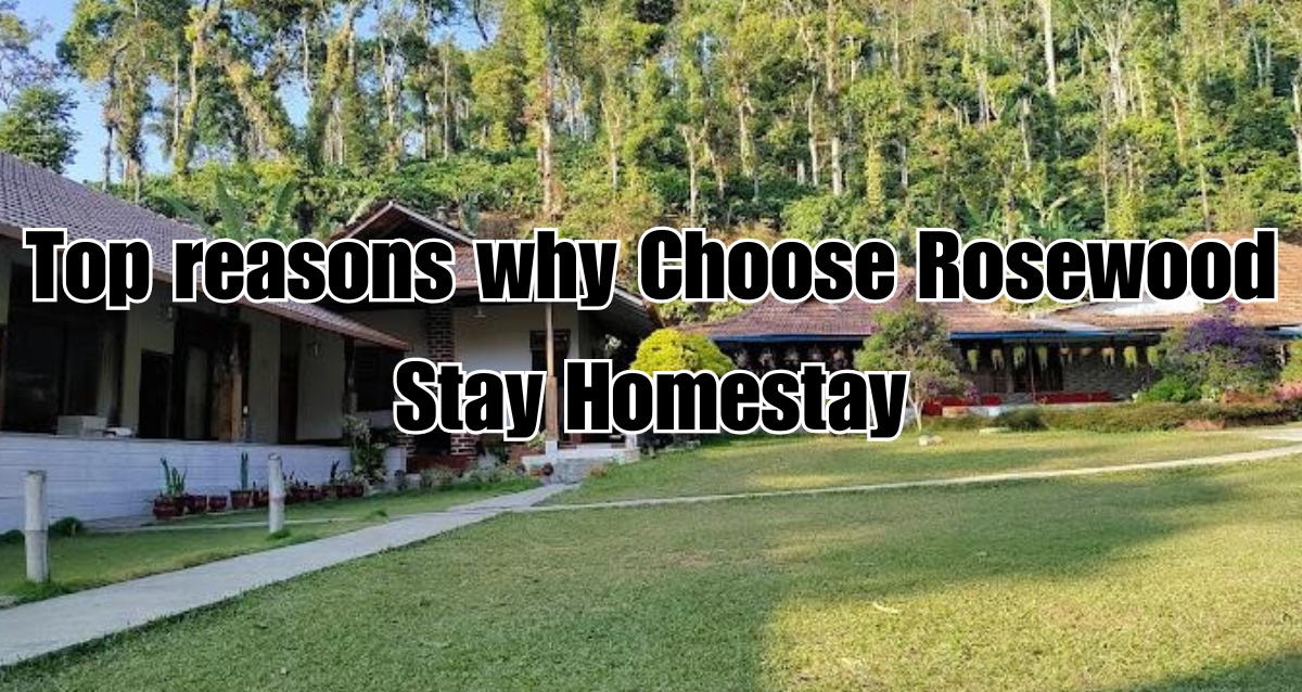 Discover Why Rosewood Stay is Your Ideal Choice for a Tranquil Retreat