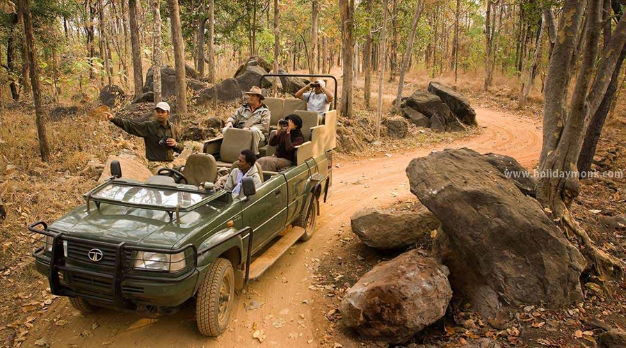 Scenic View of Nagarhole National Forest, Karnataka - Nature's Pristine Wilderness