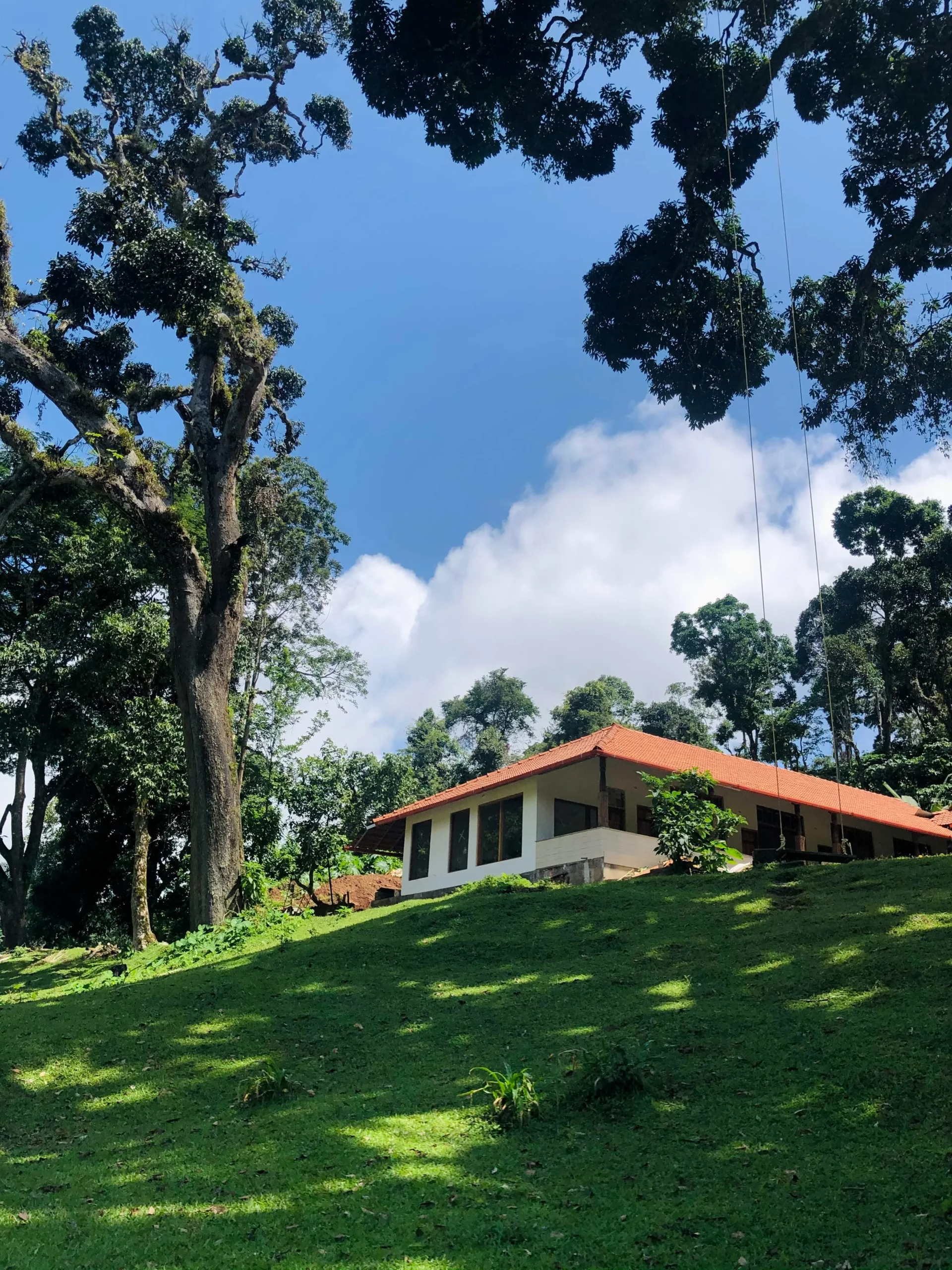 Welcome to Rosewood Stay, Your Tranquil Retreat in Coorg, Karnataka